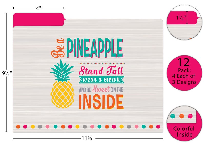 Teacher Created Resources Tropical Punch File Folders (TCR8538) - Image 3